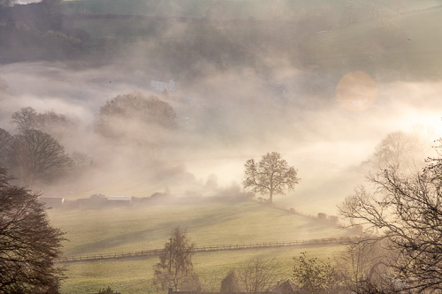 Misty Morning in the Forest of Dean